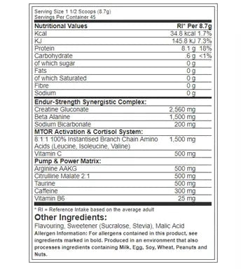 Warrior Rage Pre Workout 45 Servings 392g