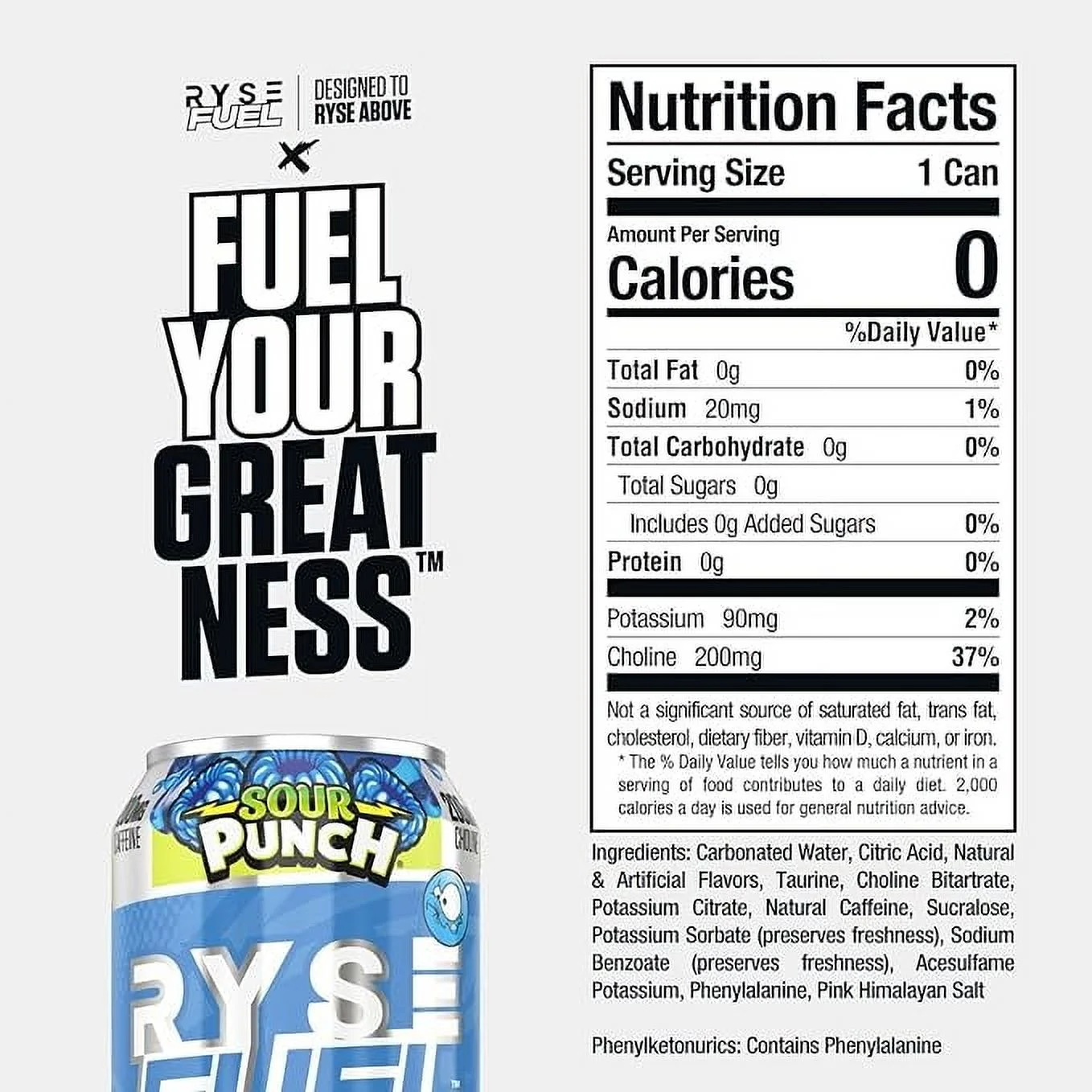 Ryse Fuel Energy 473ml Can